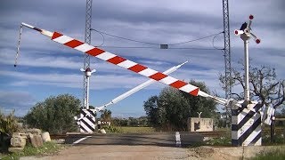 Spoorwegovergang Casamassima I  Railroad crossing  Passaggio a livello [upl. by Oskar838]