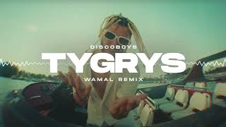 DiscoBoys  Tygrys WAMAL REMIX [upl. by Uela839]