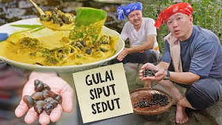 Kutip Siput Sedut dalam Sungai Buat Masak Gulai  Resepi Tok Kelantan [upl. by Ariel44]