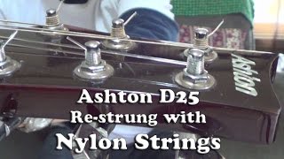 Ashton D25 Acoustic Guitar Restrung with Nylon Strings [upl. by Ybroc]