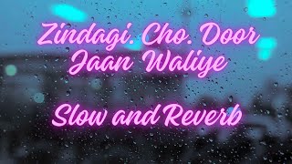 Zindagi Cho Door Jaan Waliye Slow and Reverb  Mangi Mahal  Punjabi Sad Song  Zindagi Mangi Mahal [upl. by Teiluj]