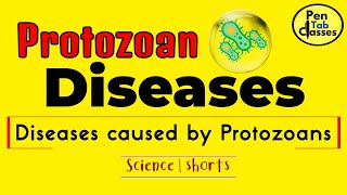 Protozoan Diseases  Various Diseases caused by Protozoa [upl. by Schreib126]