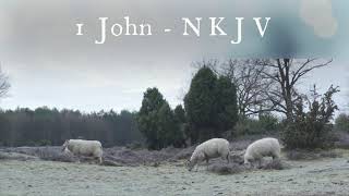 The Book of 1 John  New King James Version NKJV  Audio Bible [upl. by Euginimod]