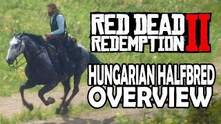 Hungarian Halfbred Overview  Red Dead Redemption 2 Horses [upl. by Myrtice]