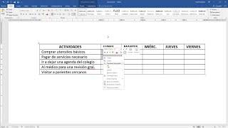 Cómo hacer un cronograma de actividades en Word [upl. by Lainey]