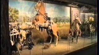 THE ROY ROGERS MUSEUM [upl. by Sucirdor715]