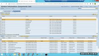 SAP NetWeaver JAVA COMPONENTS PATCHING USING TELNET TOOL [upl. by Awuhsoj815]