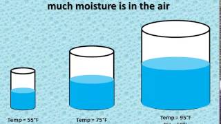 Relative Humidity vs Dewpoint [upl. by Yor]