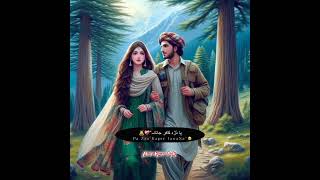 Pashto Shayeri ❣️ pashtopoetry love pashto poetry peshawar AdilArmanPoetry [upl. by Annaihr]