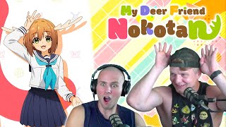 My Deer Friend Nokotan Opening REACTION Anime OP Reaction [upl. by Bremen129]