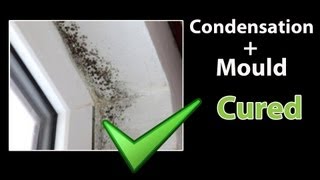 EASY  How to STOP CONDENSATION  Get Rid of Black Mold and Clean Mould [upl. by Anelis]