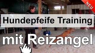 Hundetraining  Hundepfeife Training mit Reizangel [upl. by Eiramlehcar150]