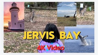 Jervis bay [upl. by Einapets]