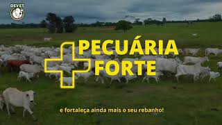 Campanha Pecuária  Forte 🐄💪 [upl. by Lomaj]