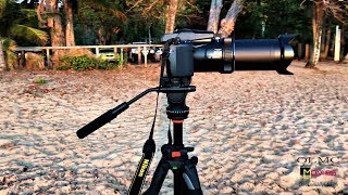 Nikon P1000 zoomzoom mic test fail on zoom mic 4K 30p [upl. by Mellette]