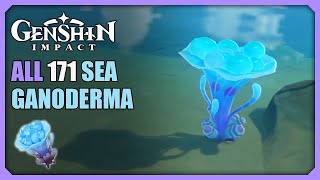 ALL 171 Sea Ganoderma Locations  Efficient Farming Route  Genshin Impact [upl. by Adnoved]