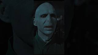 We will stand tall together harrypotter voldemort wizard [upl. by Dorsey178]