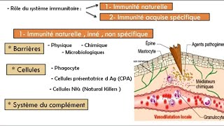 introduction a l immunologie [upl. by Hose]