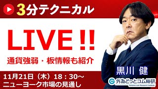 見通しズバリ！3分テクニカル分析「ライブ‼」 NY市場の見通し 2024年11月21日 [upl. by Varion852]