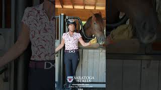 Karen Lipp of Karen Lipp Dressage talks about Saratoga Stalls [upl. by Hsu]