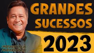 LEONARDO CD 2023  GRANDES SUCESSOS MÚSICAS NOVAS E ANTIGAS [upl. by Assiruam687]