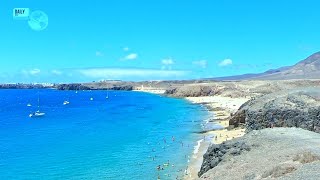 Punta del Papagayo LANZAROTE  A paradise for beach lovers [upl. by Dirgni]