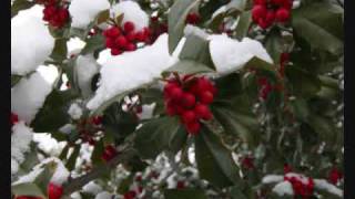 Pine Cones and Holly Berries  Its Beginning to Look a Lot Like Christmas [upl. by Anattar]