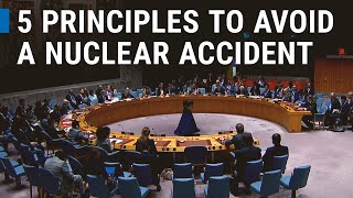 UN Security Council The IAEA Five Principles to Avoid a Nuclear Accident [upl. by Yecnahc405]