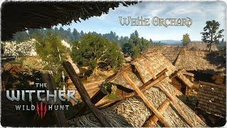 Witcher 3 White Orchard Ambient  1 Hour version  Relaxing music   HD [upl. by Leonard]