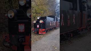 🚂 Przejazd kolejki wąskotorowej do Zaniemyśla z okazji Święta Niepodległości 🇵🇱 [upl. by Bigot]