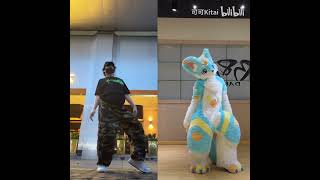 【Fursuit Dance】可可Kitai  aespa SUPERNOVA dance comparison [upl. by Faludi122]