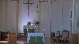 July 9 2024 at 800 am Catholic Mass from St Philip Vacherie LA [upl. by Allebara]