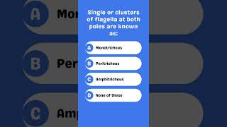 Single or clusters of flagella at both poles are known as [upl. by Dublin]