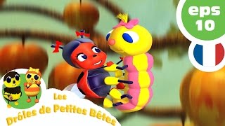 DRÔLES DE PETITES BÊTES  EP12  La colère de la Reine [upl. by Hose]