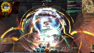 Gw2 WvW  Palawadan  NE Raid  Married to the Bag [upl. by Snow]