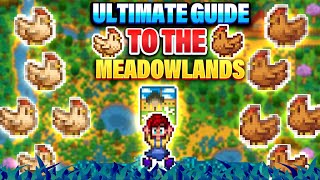 Everything You MUST KNOW About The MEADOWLANDS [upl. by Narayan954]