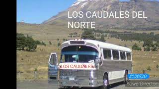 LOS CAUDALES DEL NORTE 12 CUMBIA FRANCESA [upl. by Nolyak613]