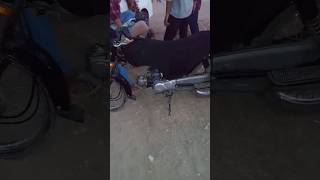 I Found The Most Unique Motorcycle In Pakistan youtubeshort [upl. by Noelle]