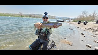 Catching Big Trout All Day North Platte River Epic Fly Fishing WY 2023 part one [upl. by Denyse]