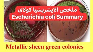 ملخص الايشريشيا كولاي Escherichia coli Summary [upl. by Shorter]