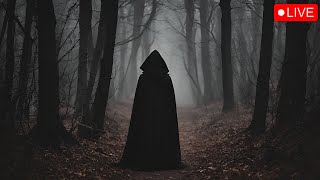 TRUE Deep Woods Horror Stories Radio  True Scary Horror Stories amp Narrations [upl. by Faline]