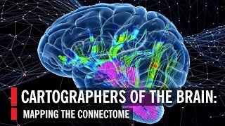 Cartographers of the Brain Mapping the Connectome [upl. by Wainwright178]