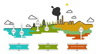 What are carbon sinks  Sustainability for all  ACCIONA [upl. by Haden269]