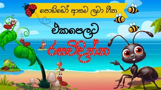 Sinhala lama geetha ekapelata 02  ළමා ගීත එක පෙළට  KKB Animation  Lama geetha ekapokurata [upl. by Yliab]