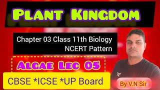 Class 11th Biology Lec 19 ll Chlorophyceae Pheophyceae and Rodophyceae ll V N Singh [upl. by Aihsyla]