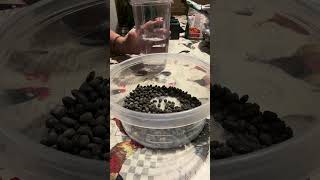 The Shocking Reason You Should Soak Black Beans for Hours Before Cooking soften tender shorts [upl. by Eedahs]