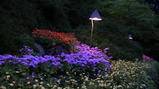 Butchart Gardens Virtual Tour [upl. by Vic268]