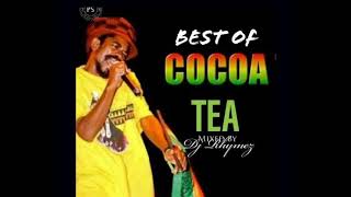 Dj Rhymez  Best of Cocoa Tea Mix 2022 [upl. by Animaj]