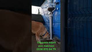 Otomatik köpek yem makinesi 0538 870 84 79 [upl. by Synn]