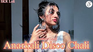 Anarkali Disco Chali  Slowed  Reverb Housefull 2 l SKR Lofi [upl. by Ivah192]